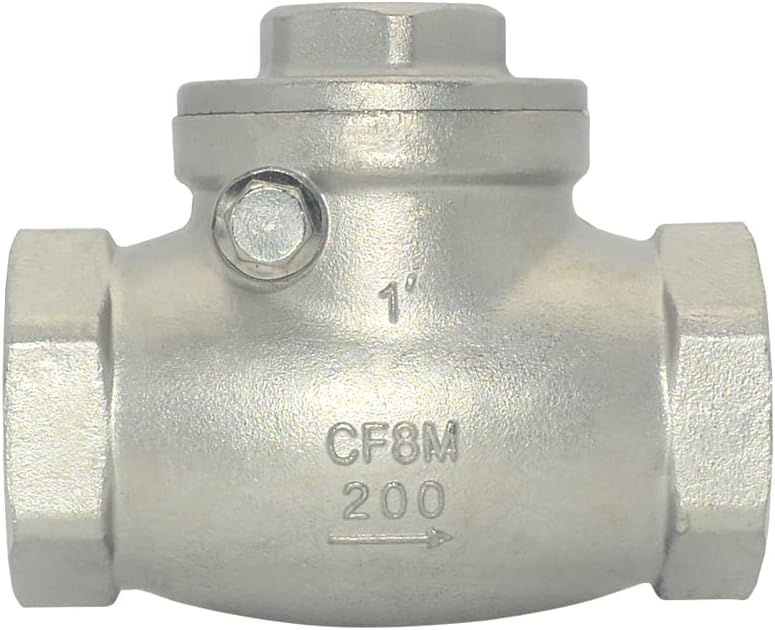 Clapet anti-retour à battant 1'' INOX 316L NPT Femelle BSP